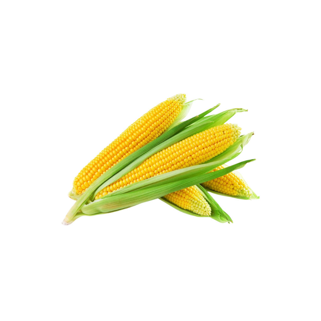 Fresh Corn 3 pcs buy online USA - 1